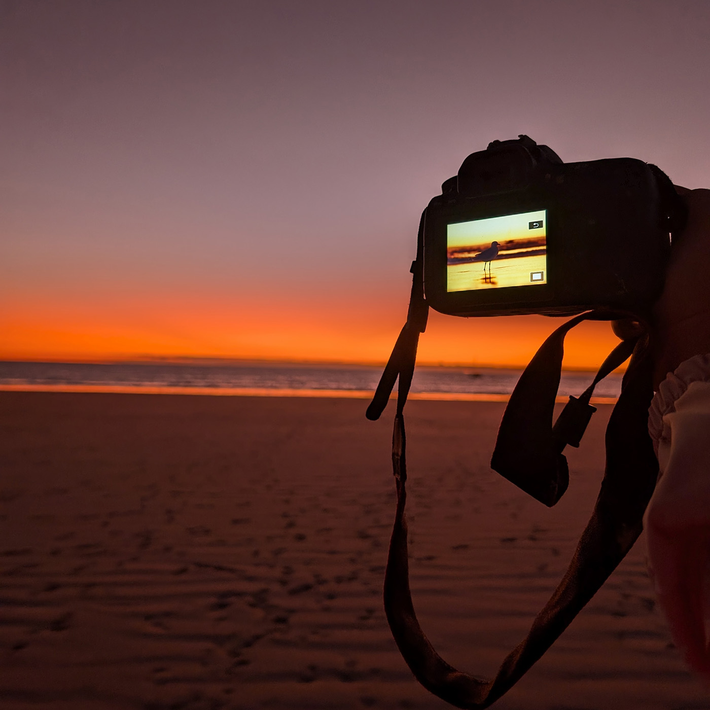 A photograph from Week 26, 2024, Broome 6725 & Cable Beach 6726