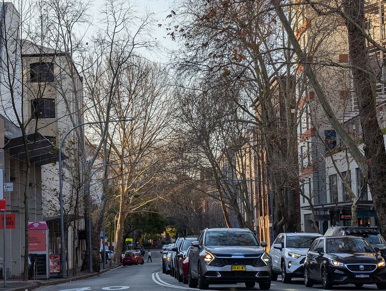 A photograph from Thu Aug 8, 2024, Sydney