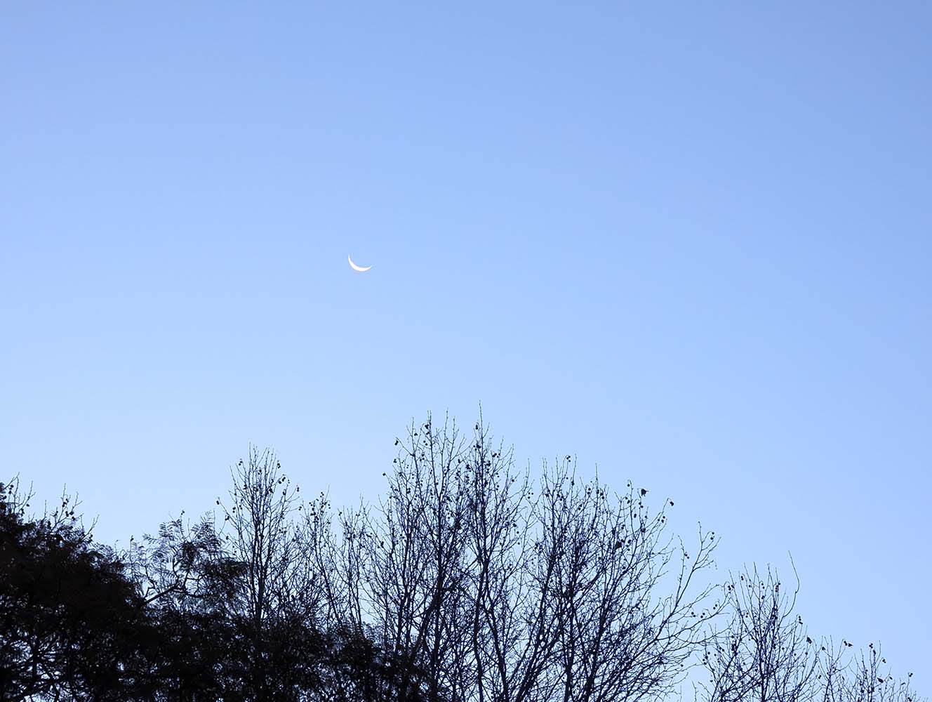 A photograph from Thu Aug 8, 2024, Sydney