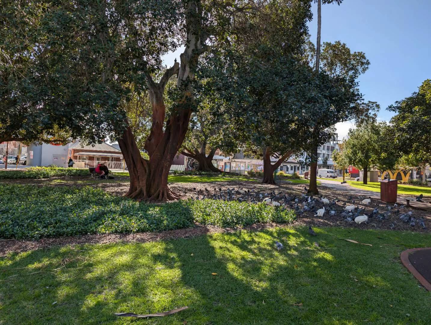 A photograph from Mon Jul 22, 2024, Weld Square, Perth 6000