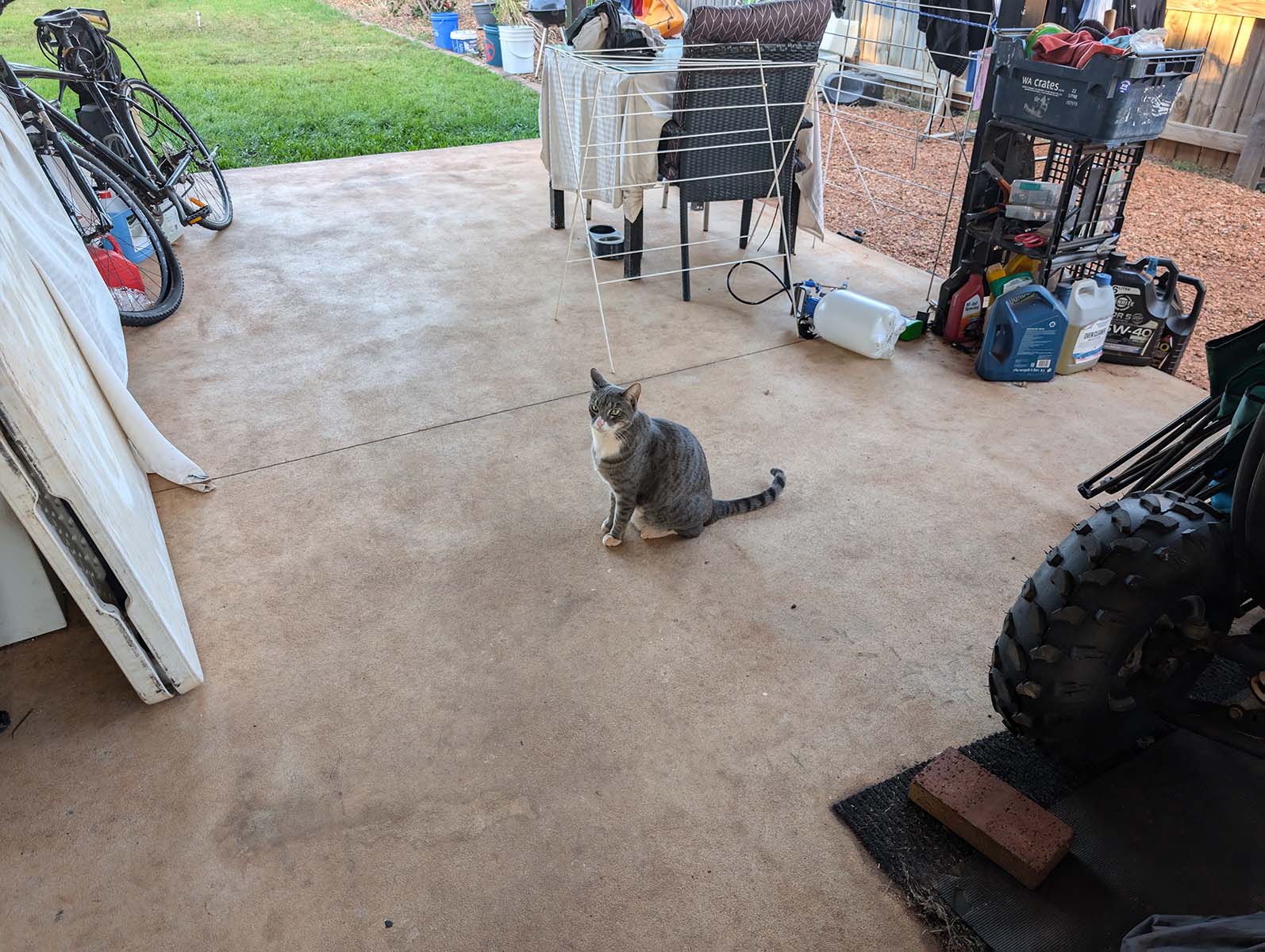A photograph from Thu Jul 18, 2024, Mr Saigon, Broome 6725